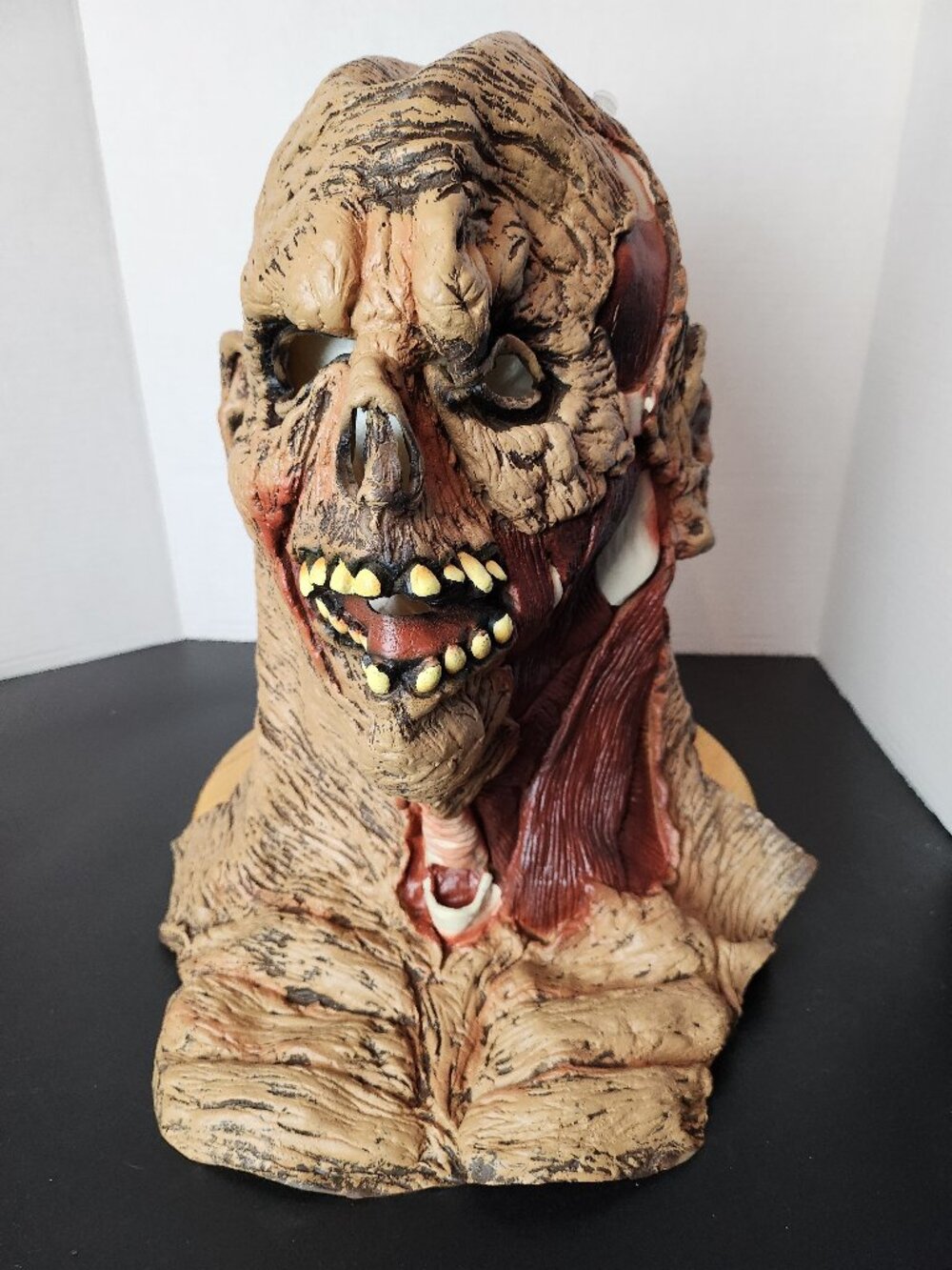 Rotting Zombie Ghoul Latex Halloween Mask Full Overhead with Chest Bib Horror